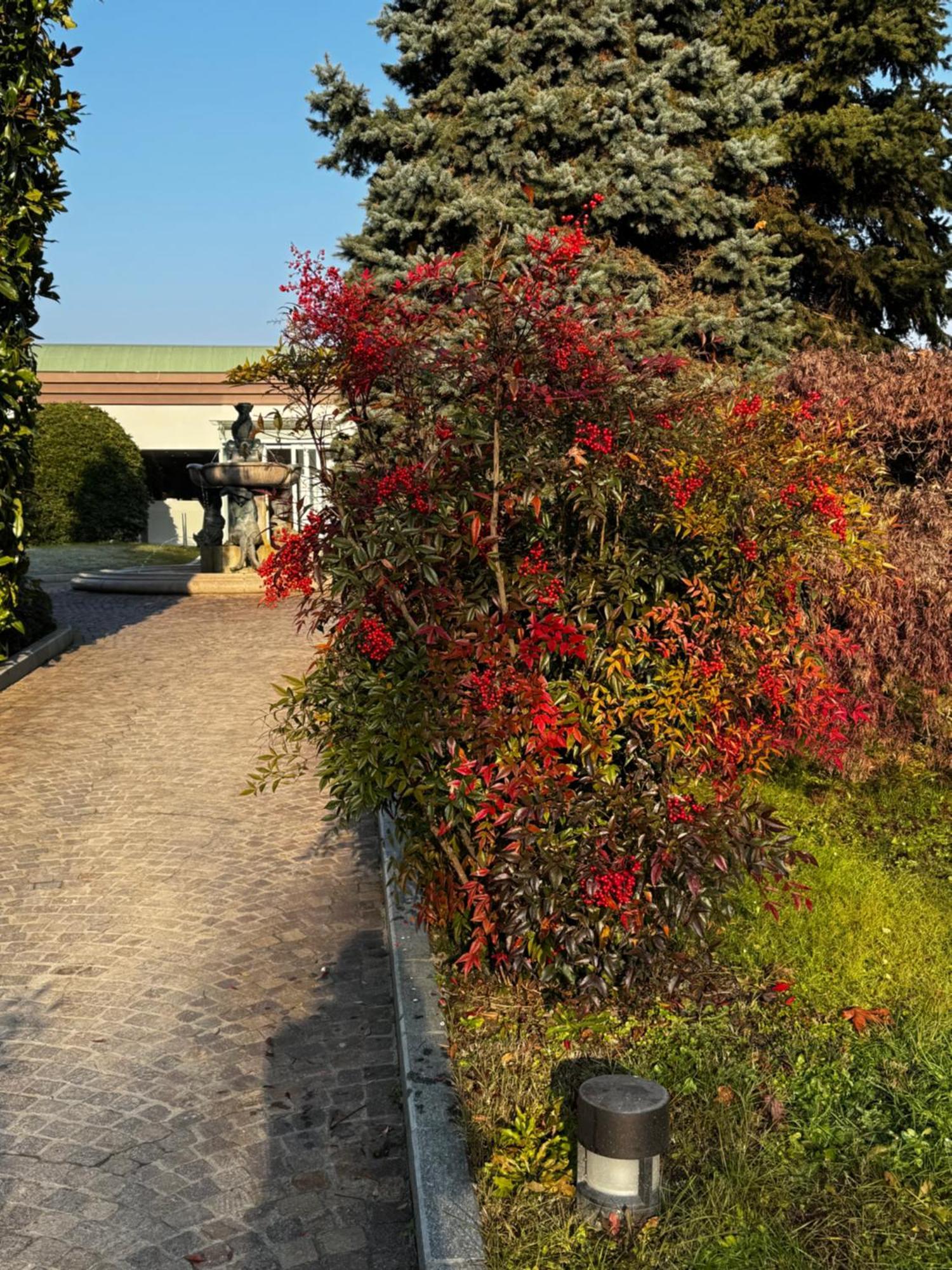 Parco Hotel Sassi Torino Esterno foto