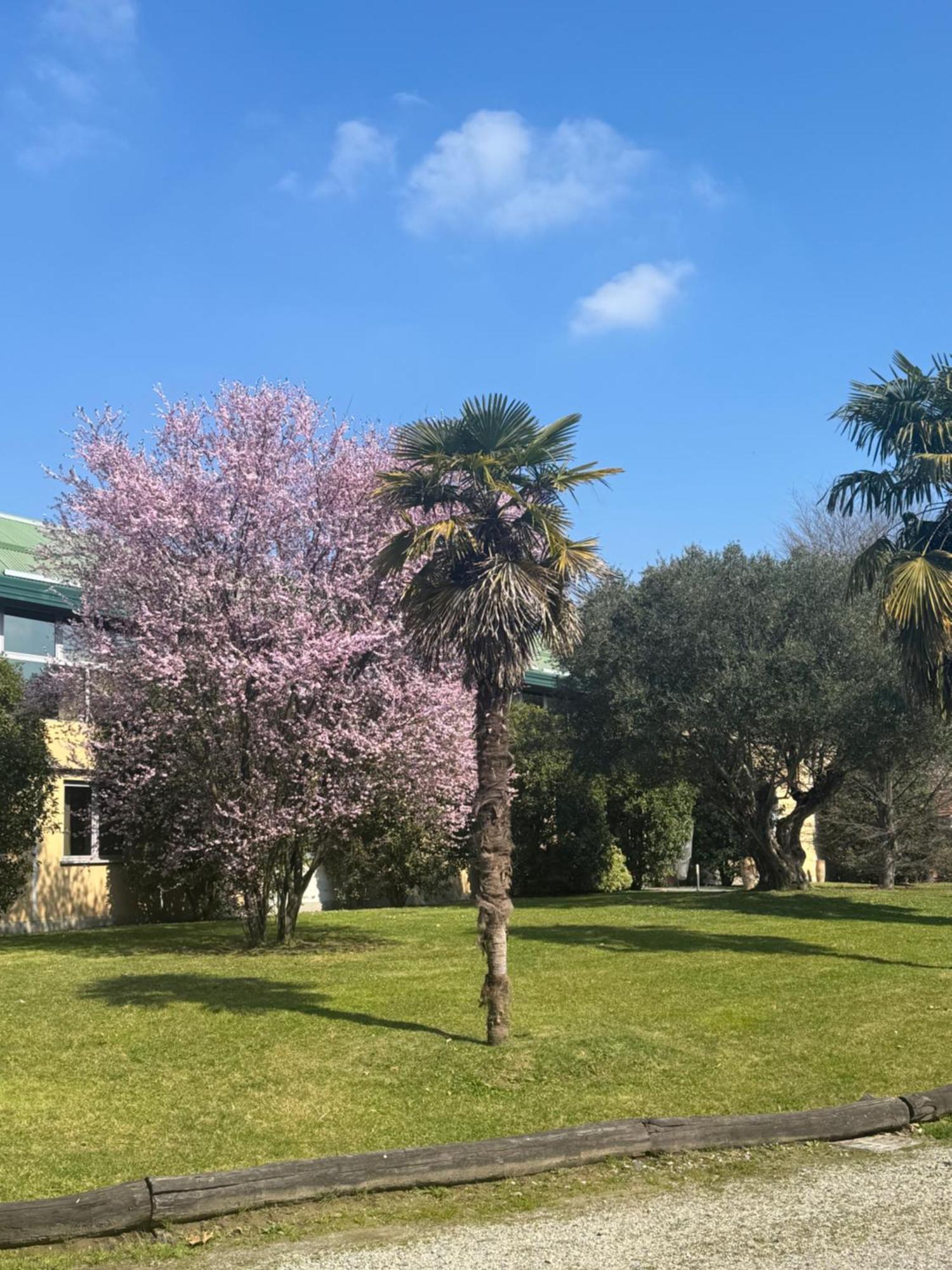Parco Hotel Sassi Torino Esterno foto